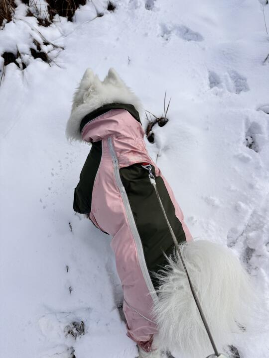 2.18太子尖玩雪实况