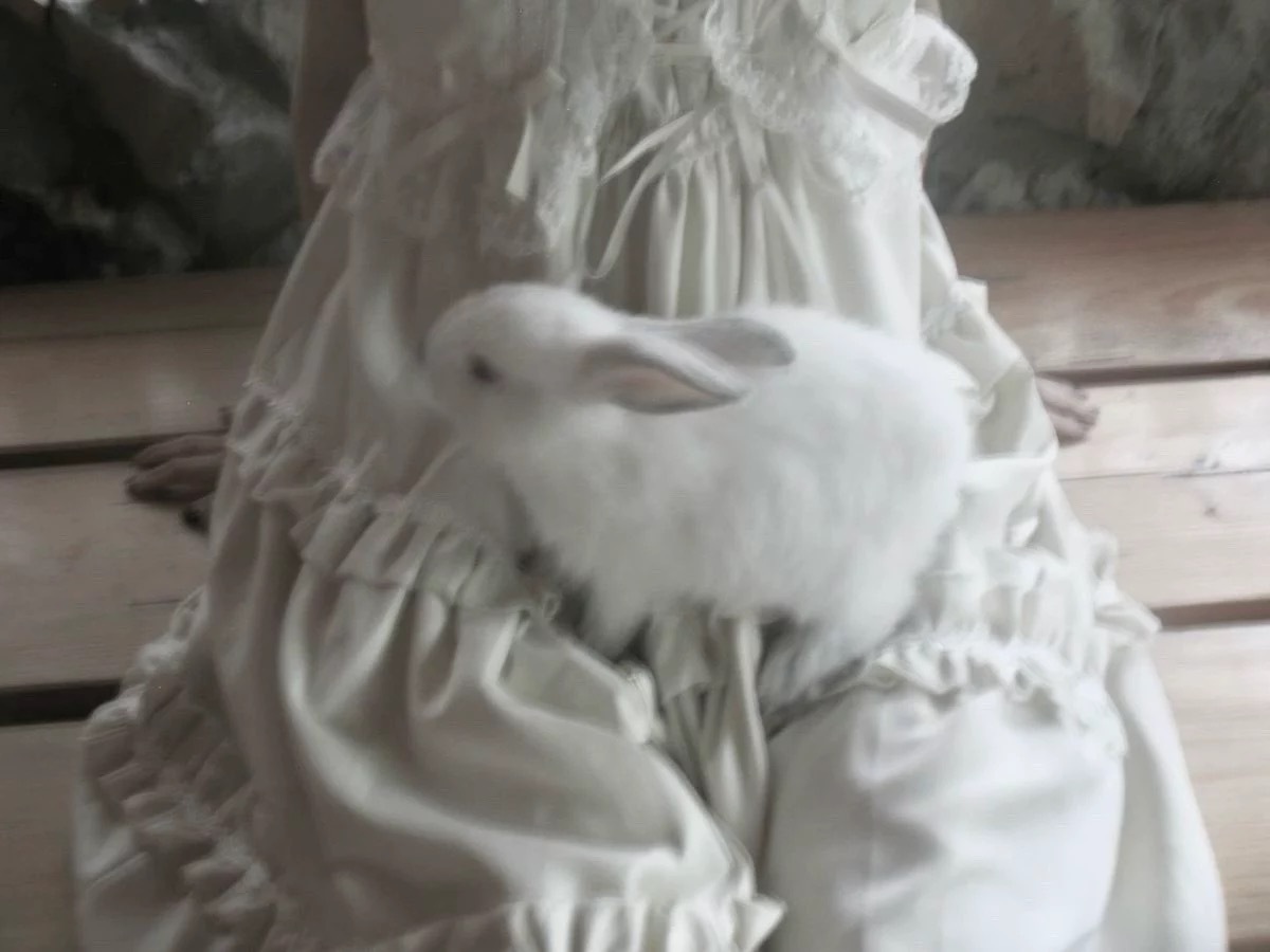 ： 
