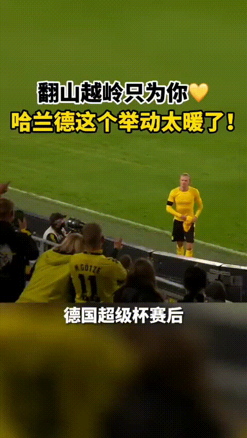 这样的哈兰德，叫人怎能不爱？
    2026德国杯赛后，看台上一位小球迷，打出