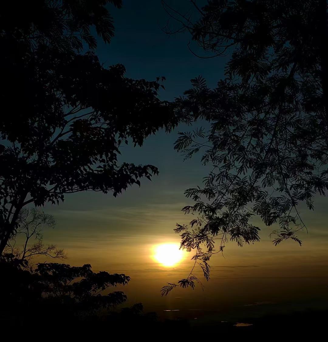 藏在树影里的黄昏，是今天最温柔的治愈
 
傍晚爬上近郊小山，一抬头撞见这幕——落