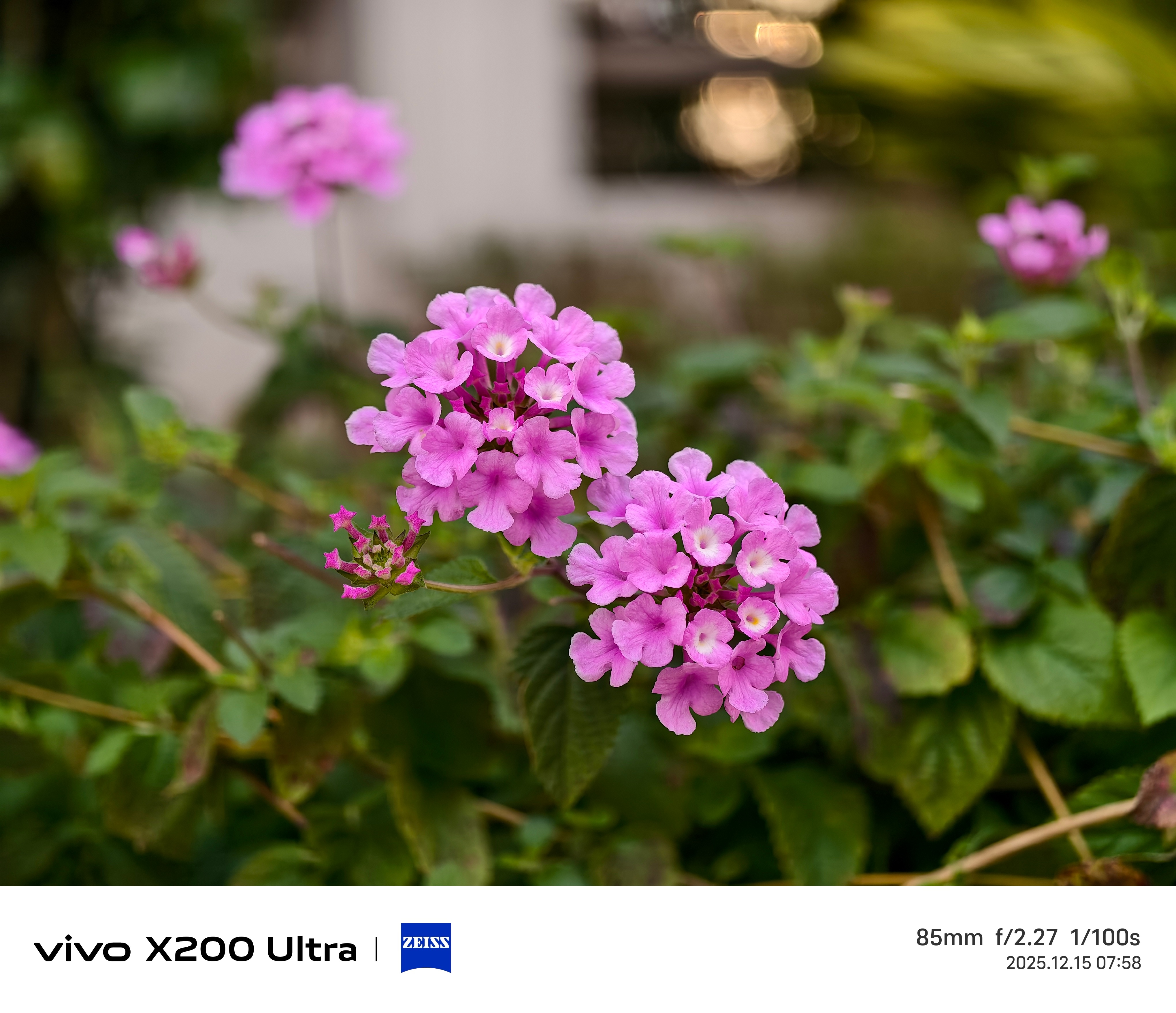 冬天了，有什么奶茶推荐吗去冰的不敢喝，很多奶茶热的也不好喝选择障碍了 