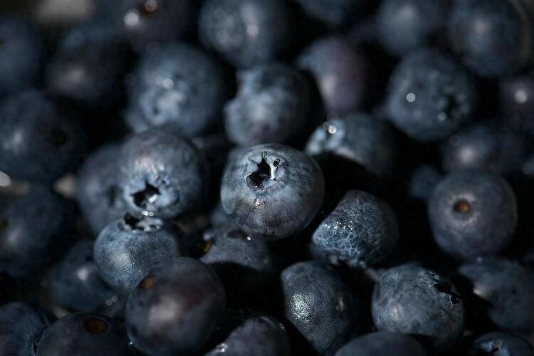 蓝莓再次成为关注对象！医生发现：吃蓝莓时，千万多留意这3点！

蓝莓这段时间又在