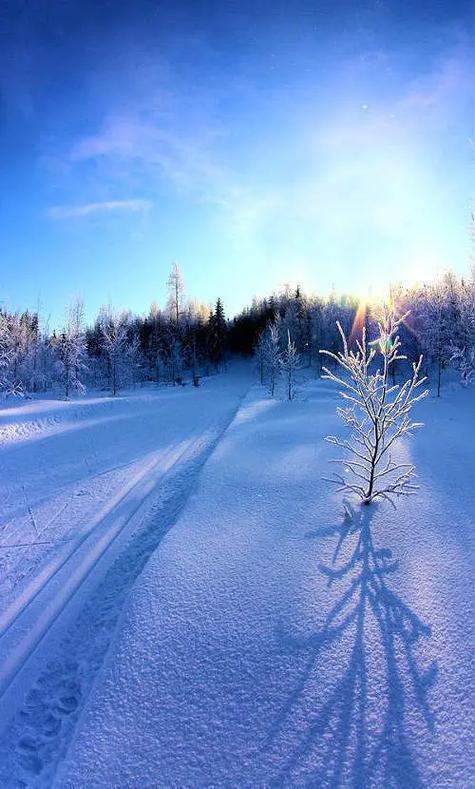 冬日生活打卡季 冬日生活打卡季
冬日真是个值得好好打卡记录的季节啊！初冬的公园美