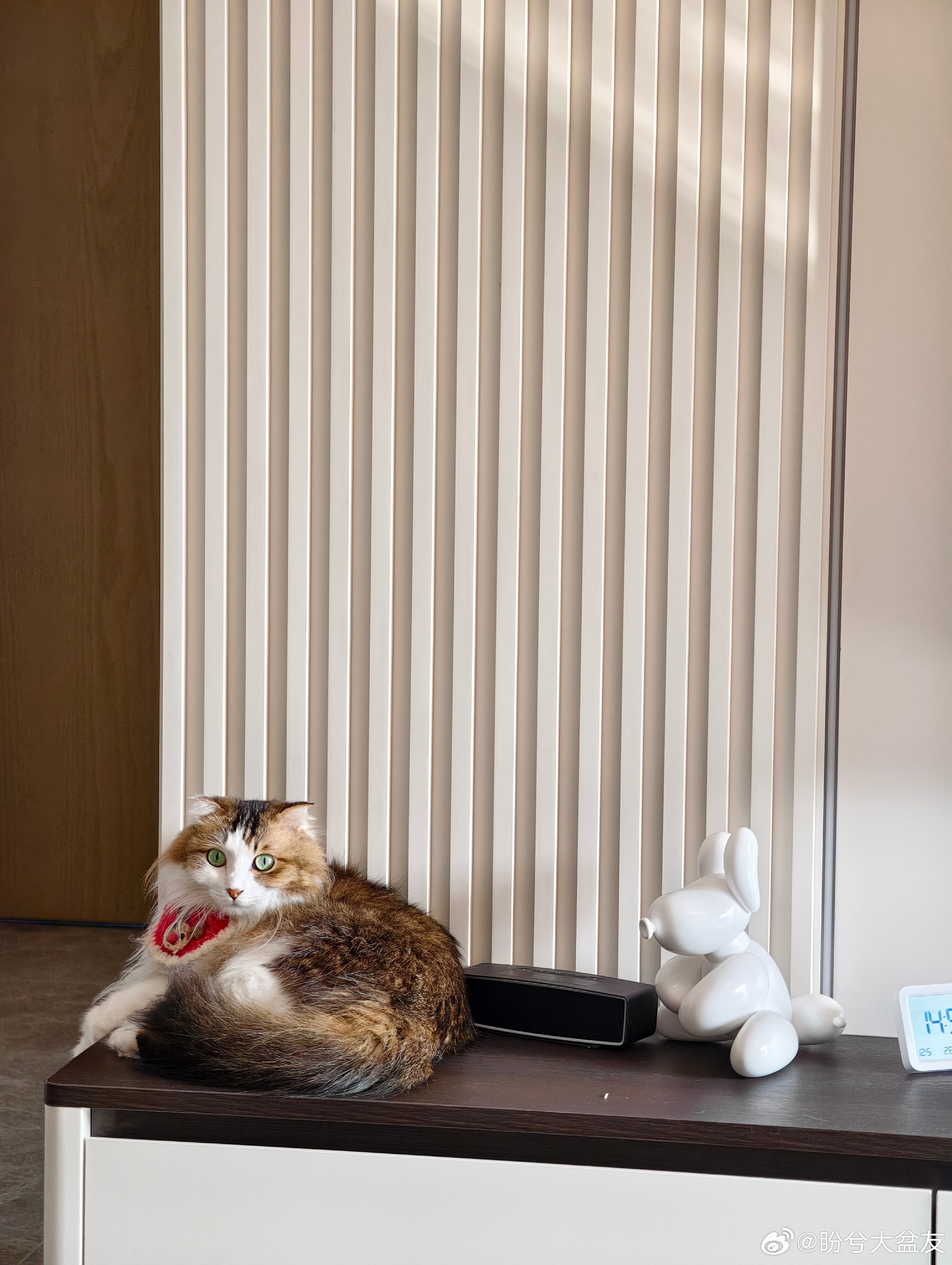 开车喊理想同学，回到家里喊小爱同学，要拖地扫地了就喊一声“你好追觅”，习惯了语音