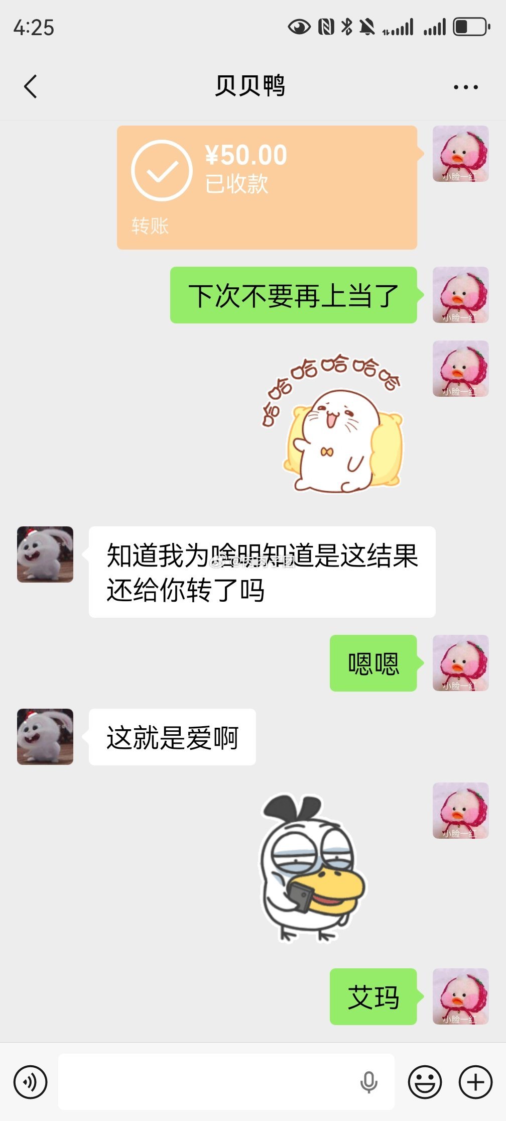 这就是狗粮 