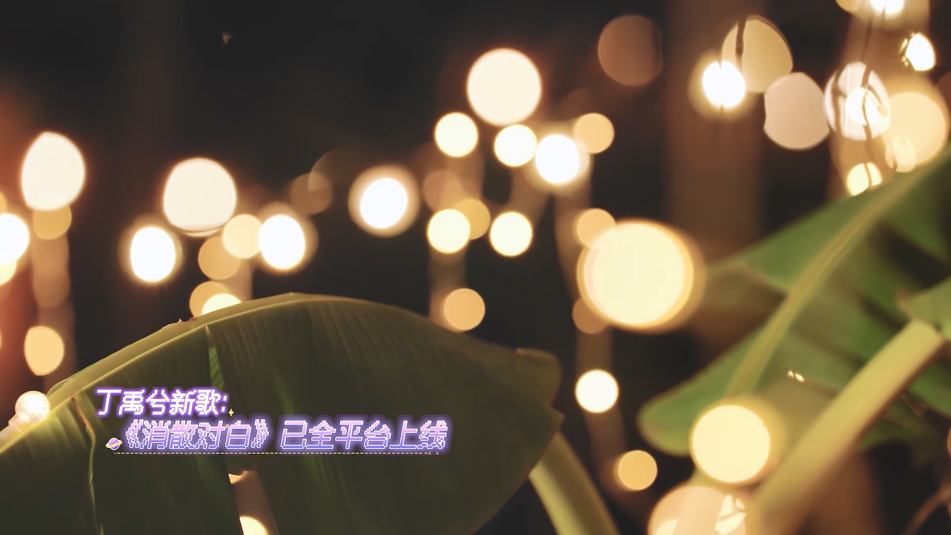 有被宠着 