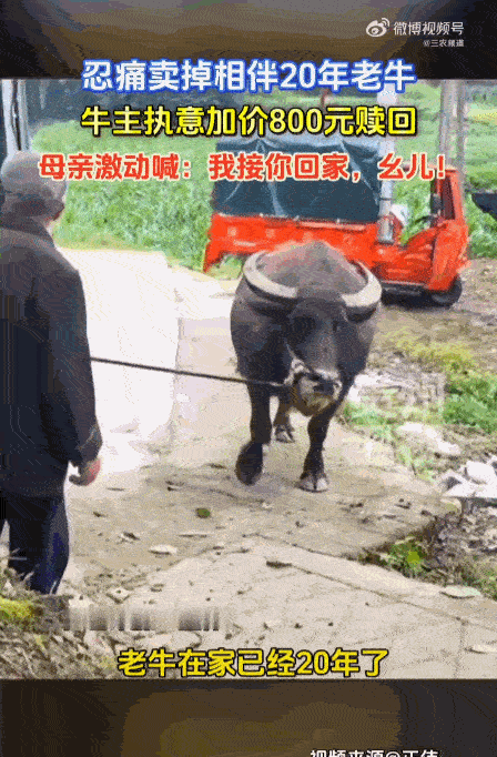 万物有灵，生生不息！贵州遵义一男子，亲手将陪伴了父母二十年的老伙计送上了别人的车