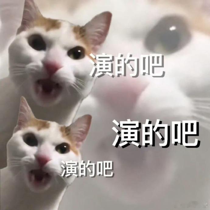 1. 《浮图缘》没有第二季。2. 明星知道站姐和代拍的存在，有时甚至需要他们来增
