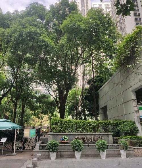 广州珠江新城保利心语：单价从14.7万跌到6.4万，神盘彻底崩塌
 
曾经寸土寸