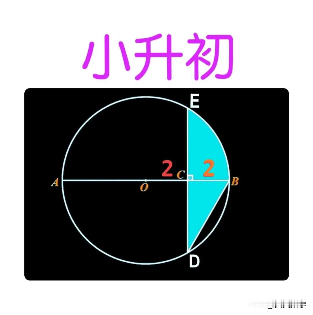 “200多人、会的屈指可数！”这是一道海口某私立学校“小升初”选拔测试数学题：有