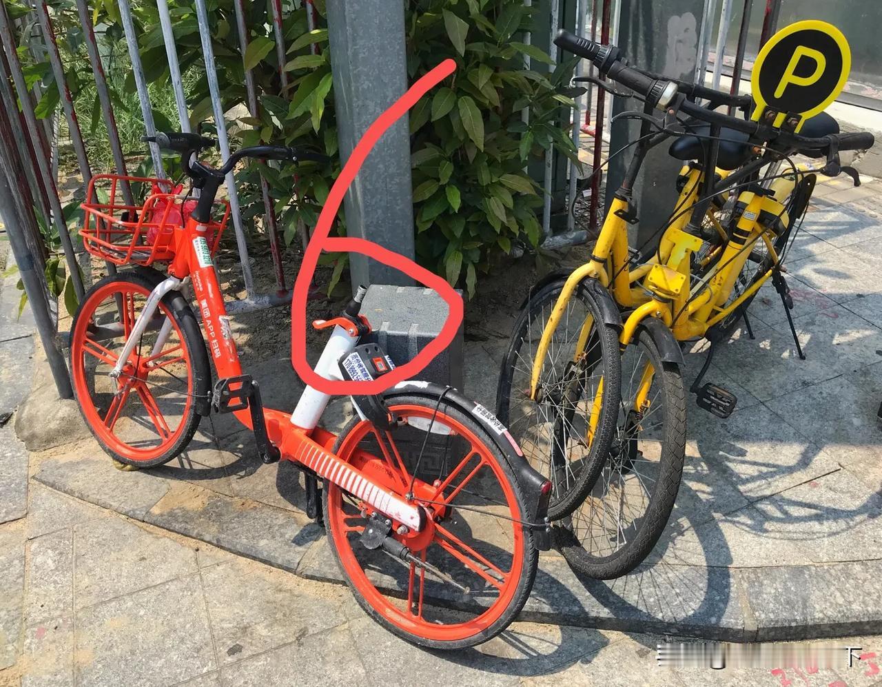 #深圳身边事# #共享单车# #摩拜# 这是谁干的？什么仇什么怨？这也太惨了吧[