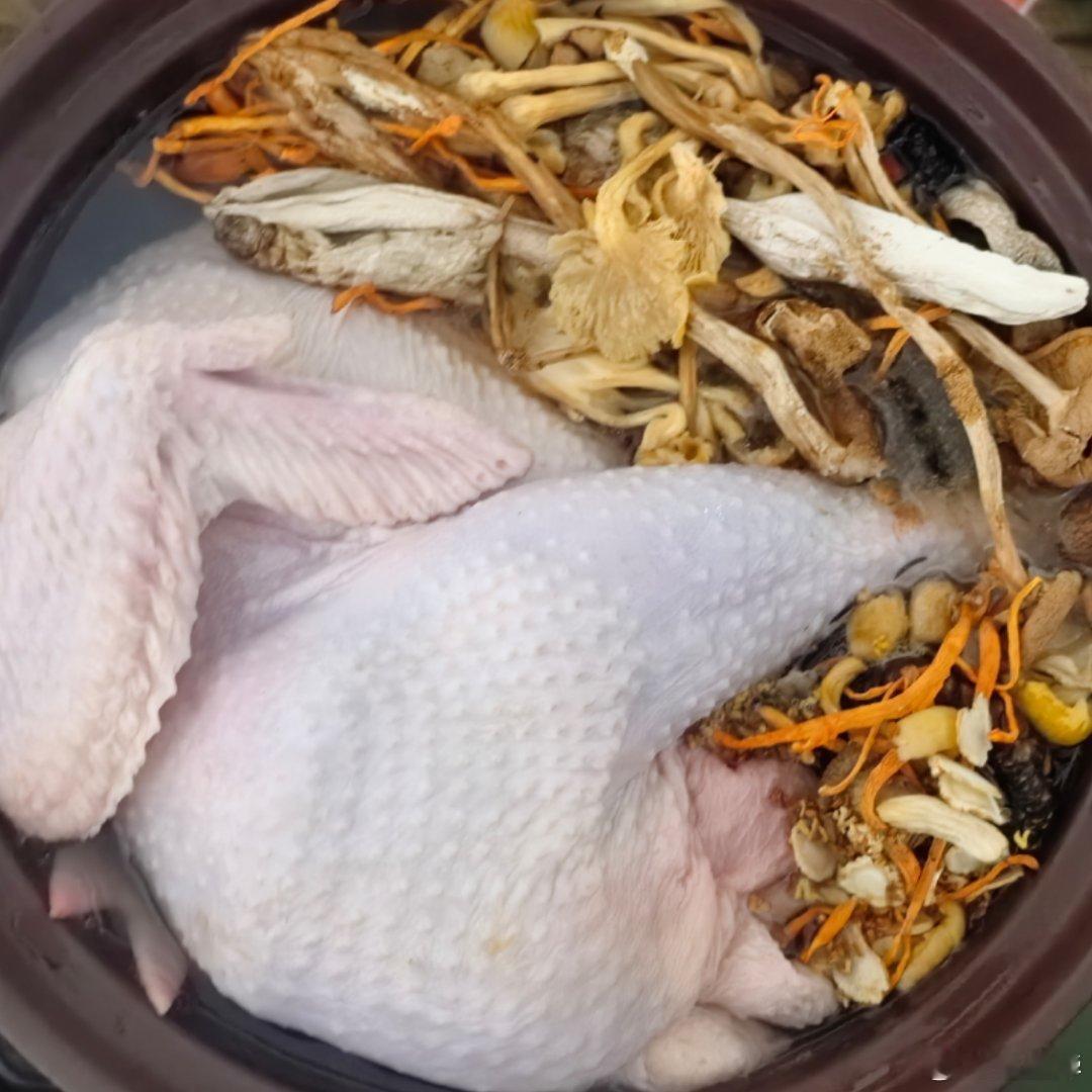 好美的腿啊，又白又嫩！本博半夜炖个高丽参鸡汤，炖一宿，明早补补！