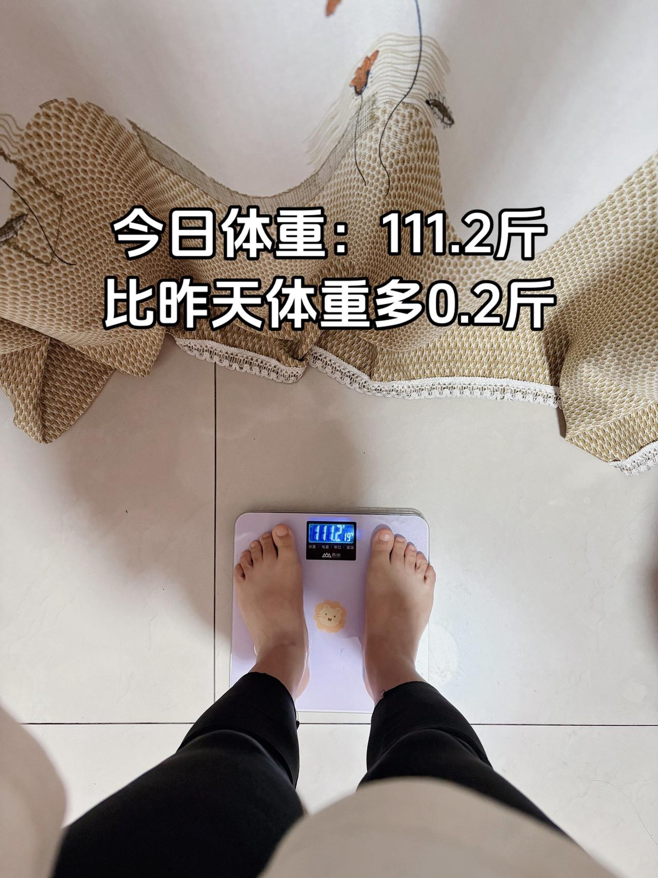 11月5日体重：111.2斤⬆️0.2斤
泪水打湿我的减脂餐：牛奶+面包鸡蛋番茄