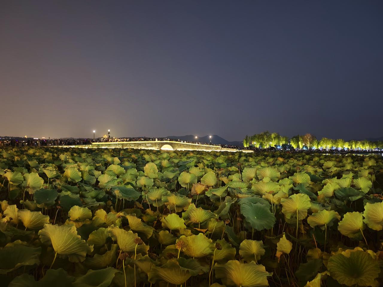 杭城西湖节日气氛拉满，虽然是夜晚也是车水马龙人声鼎沸，一派节日祥和景象。

断桥