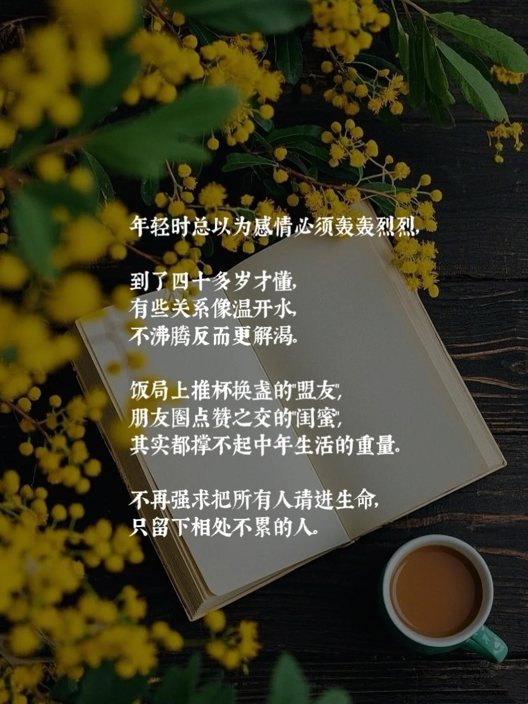 人到中年，有些关系，不必惊动爱情 