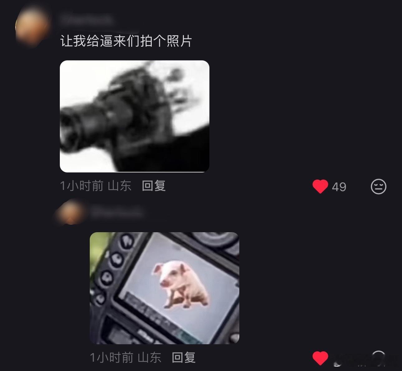 好有才华的铲毛毛