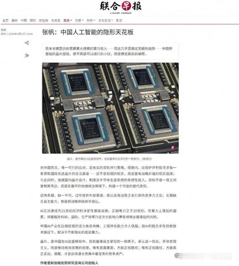 新加坡《联合早报》2026年6月初专栏，标题大意就是“中国半导体应双轨并行：一边