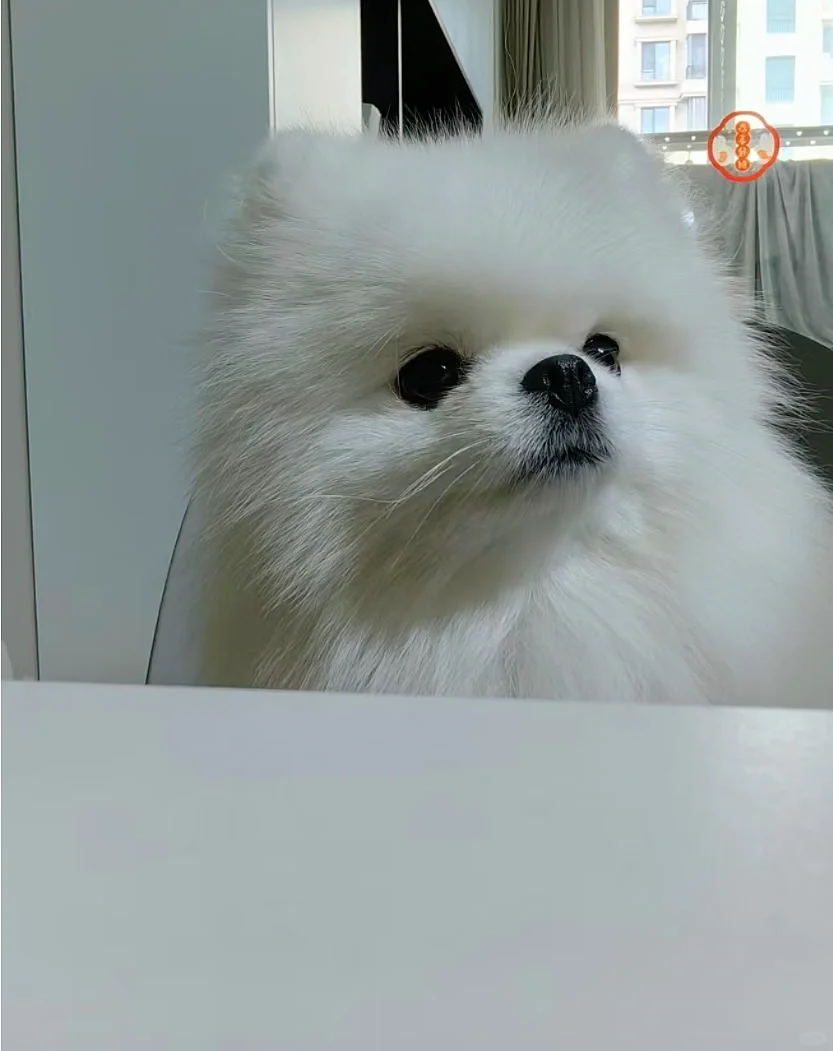 排排坐 等果果