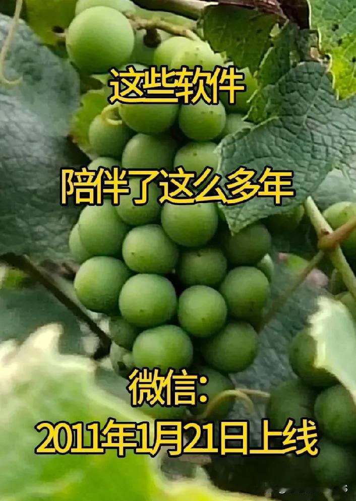 这些软件已经陪伴我们多年了。以前QQ盛行之时，促成了许多爱情，哪怕长途话费六毛钱