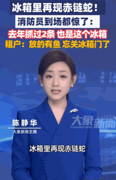 “事不过三！”杭州，一户人家的冰箱，竟然在两年内连续三次迎来了“不速之客”——赤