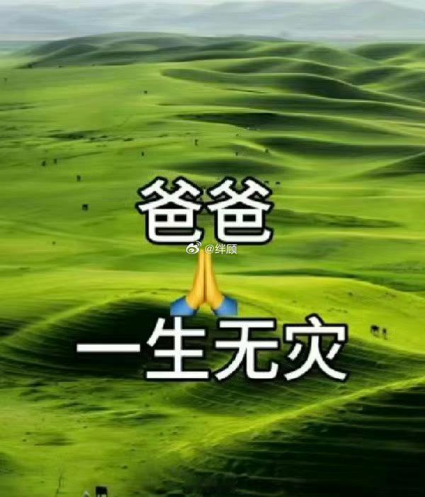 爸爸一生无灾无难，平平安安，健健康康的 