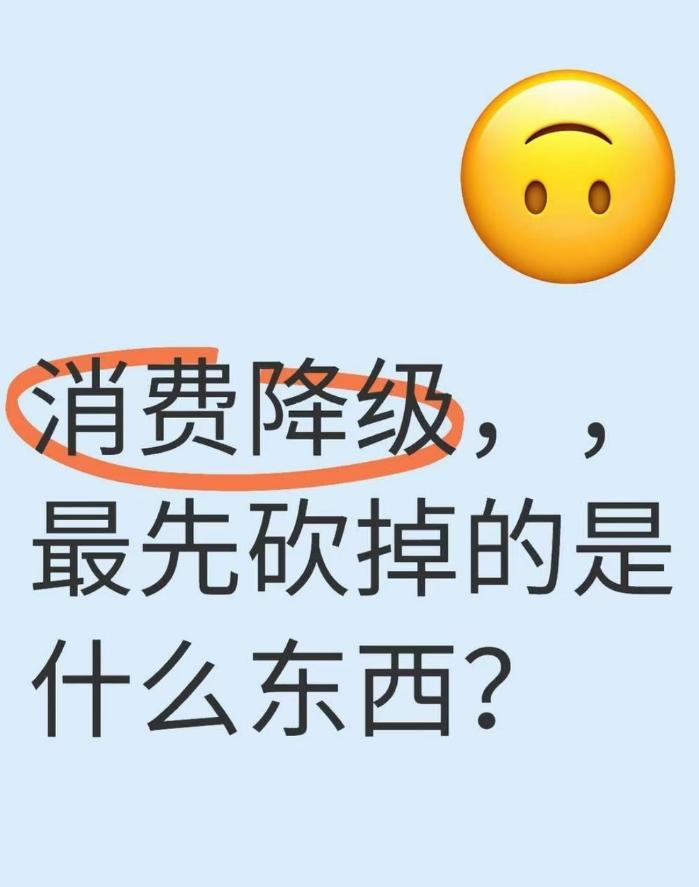 消费降级，最先砍掉的是啥？

这几年，一个变化正在全球同步发生，只是很多人不太愿