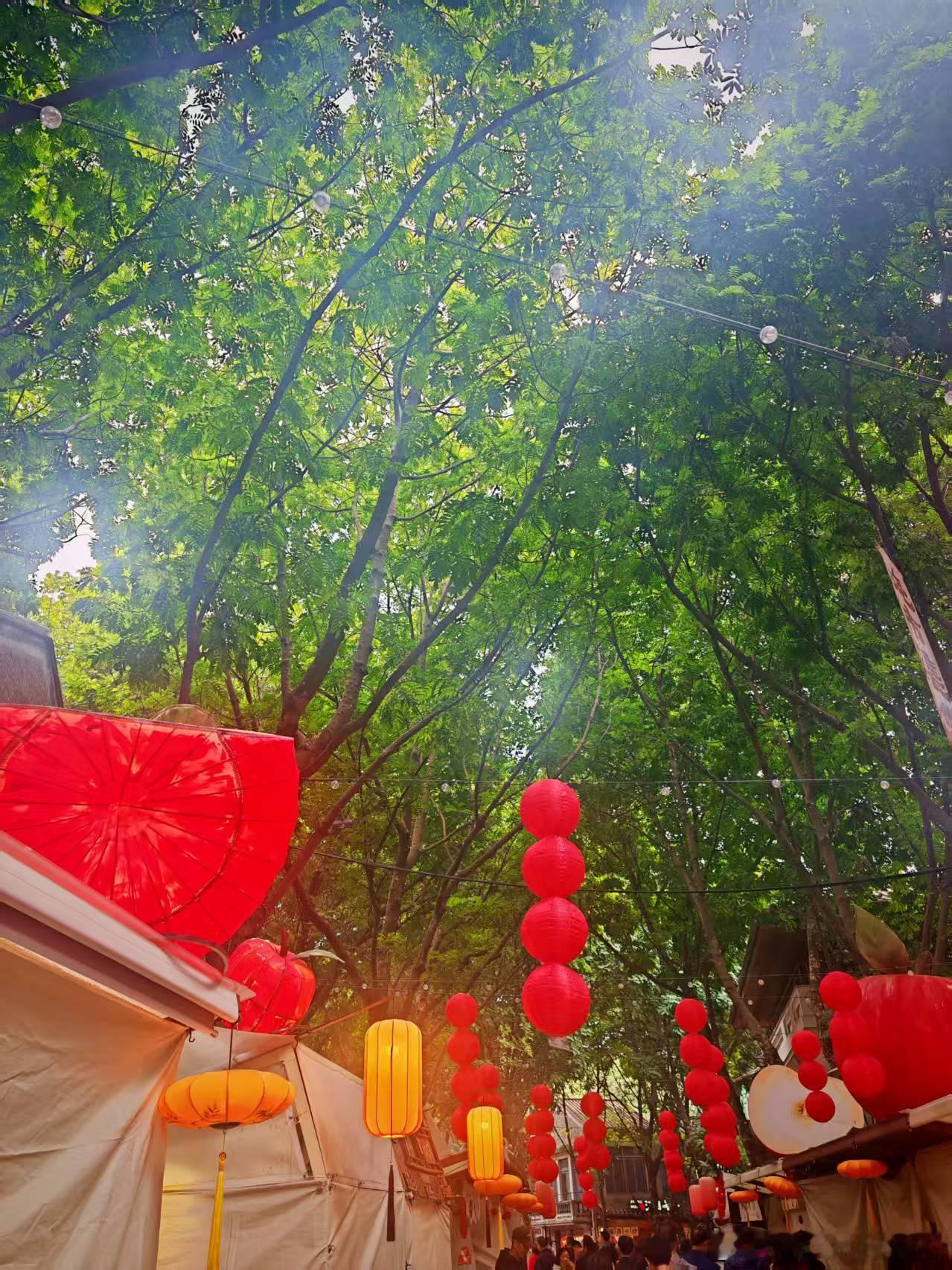 好想去南方，感受温暖的春节