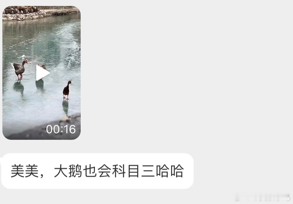 ？？？笑死 ​​​