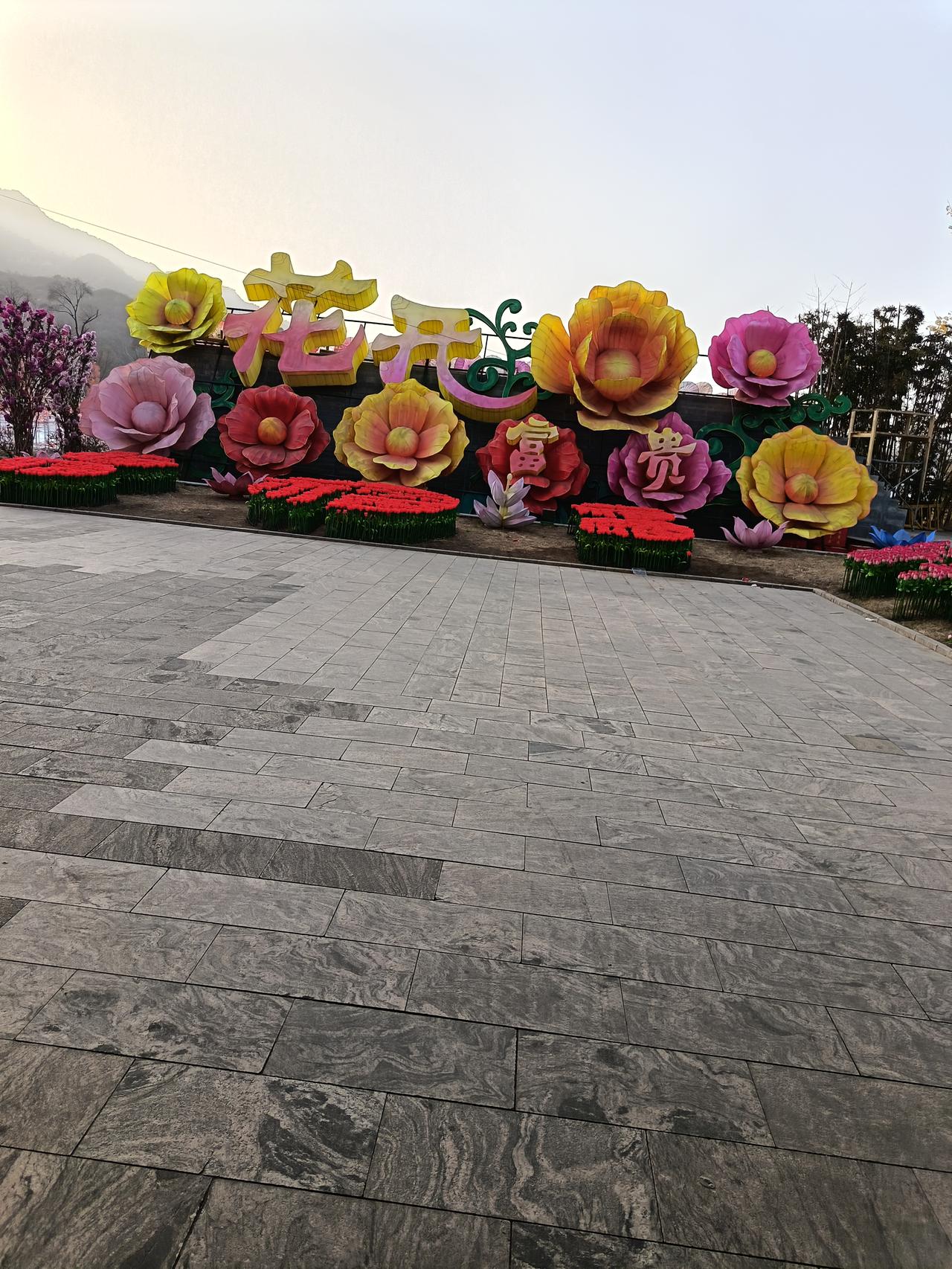 花海盛开，富贵迎春来！🌸💰