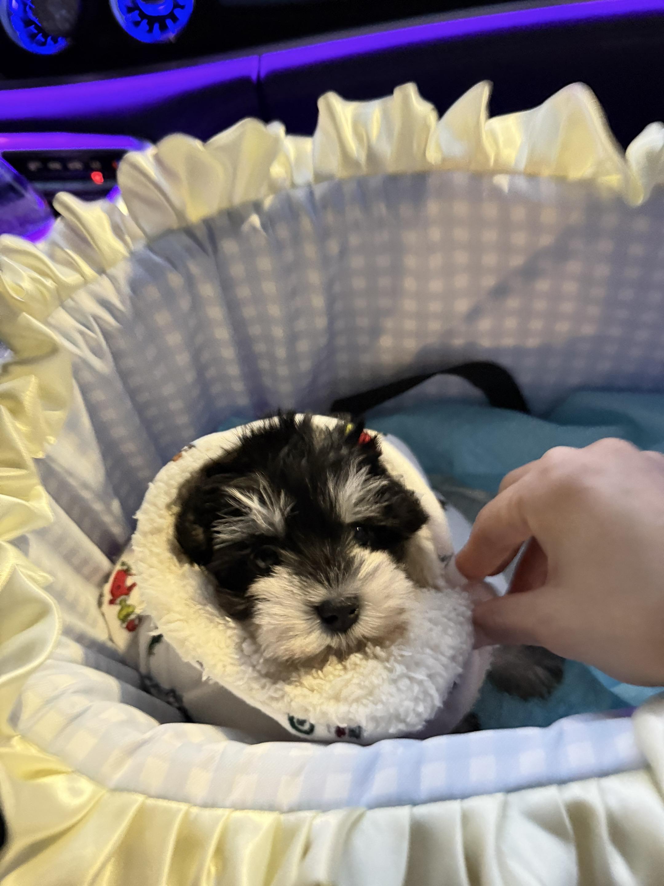 新生儿👶 小蹦蹦来喽