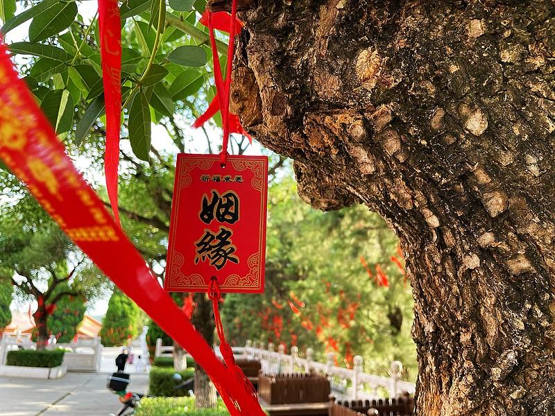 “人的命天注定”这话还真有几分道理。就说姻缘，世界这么大，两个人能走到一起，概率