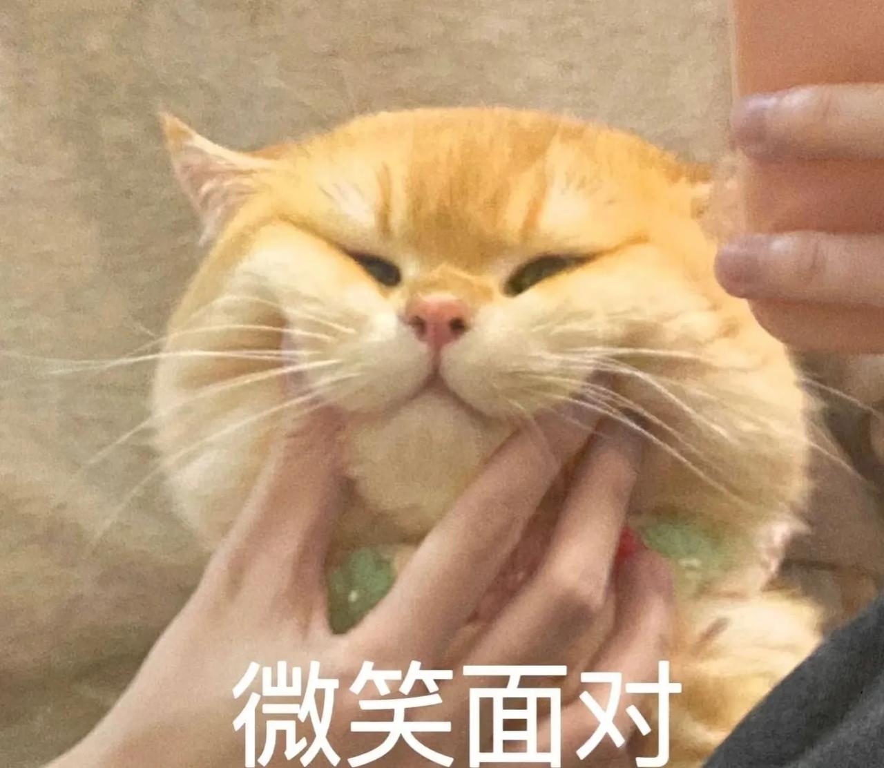 又又又收到来自老师的“问候”

50s的语音还好几条 根本不敢打开听

默默转化