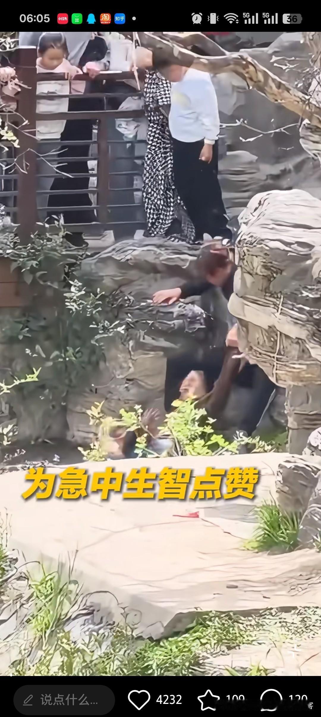 西安兴庆宫公园这一幕，真的看哭了
 
前两天刷到西安兴庆宫公园的事，一大人带孩子