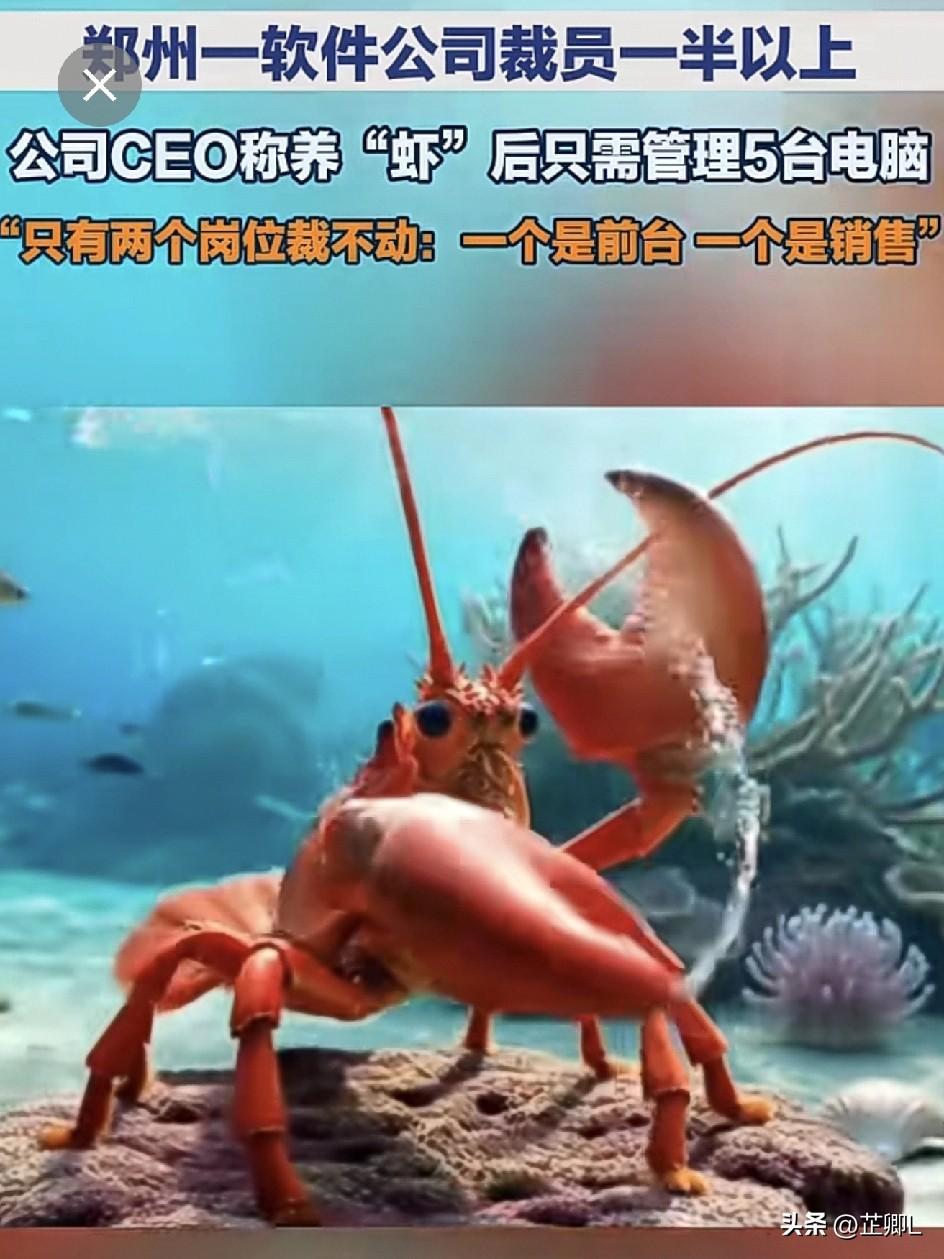 别让AI抢普通人饭碗！它该去深海太空，而非挤走打工人！
 
看完郑州软件公司靠龙