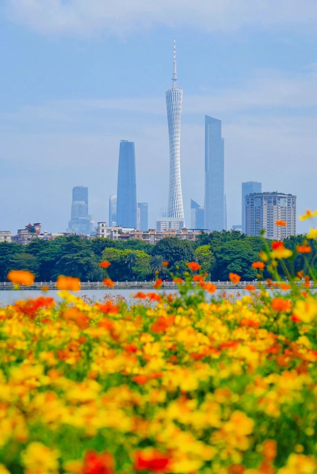 9.17实拍🌸广州塔下的花海湖畔美哭了