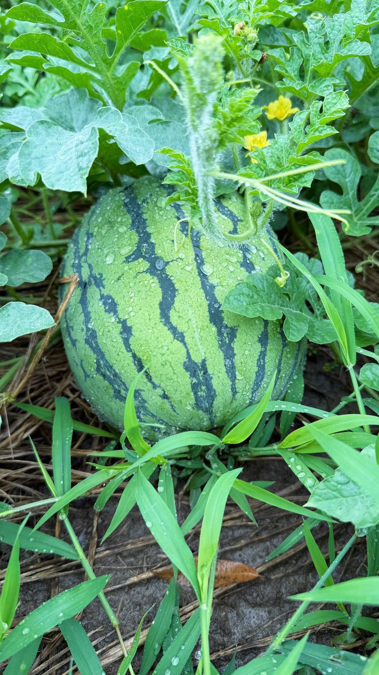 反复爱上夏天的理由，都藏在这些照片里……