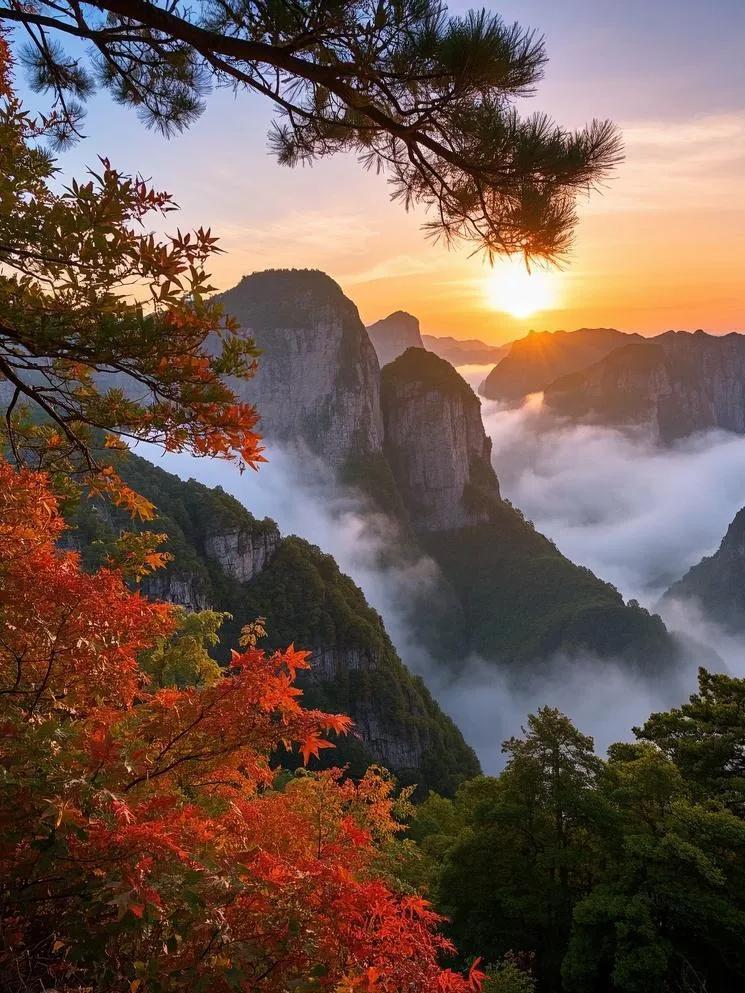 天门山的傍晚，阔叶林色彩斑斓，微风拂叶，奏响一曲夕阳下的秋日恋歌。秋景美如画卷 