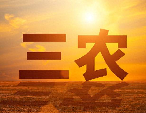 2027耕地新法落地！从严追责，关乎每个农民、每座城市
