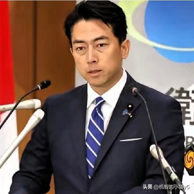 日本经济的“根基”，实际上是由六大财团主导的资本网络，以及高端制造产业链的上游环