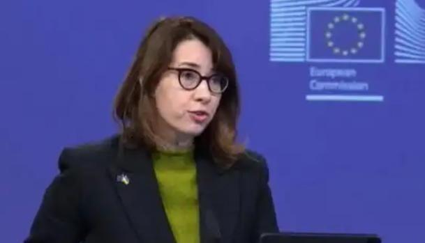 法国出来表态了！在我们举行军演之际，12月31日，法国外交部发表声明声称，巴黎致