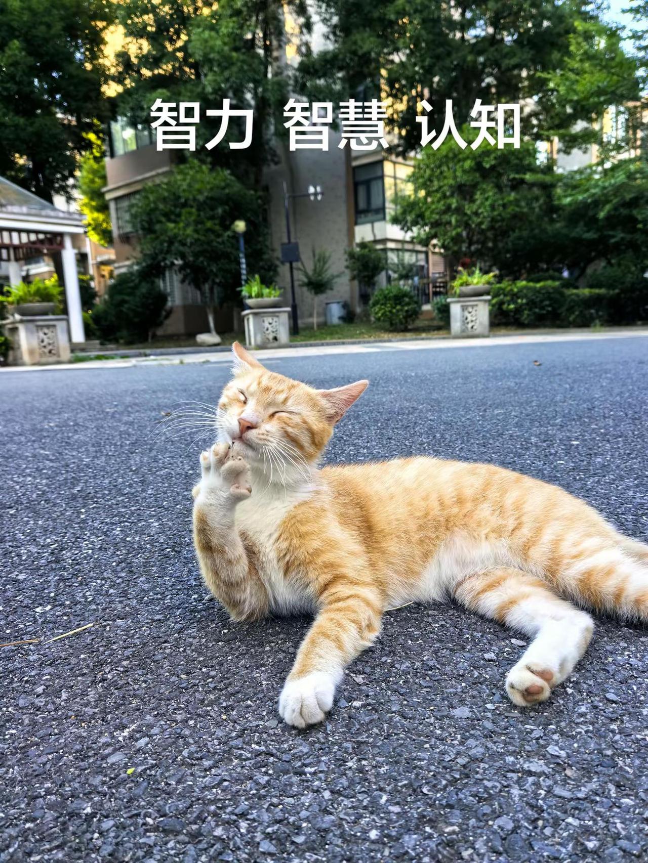 传统文化玄学