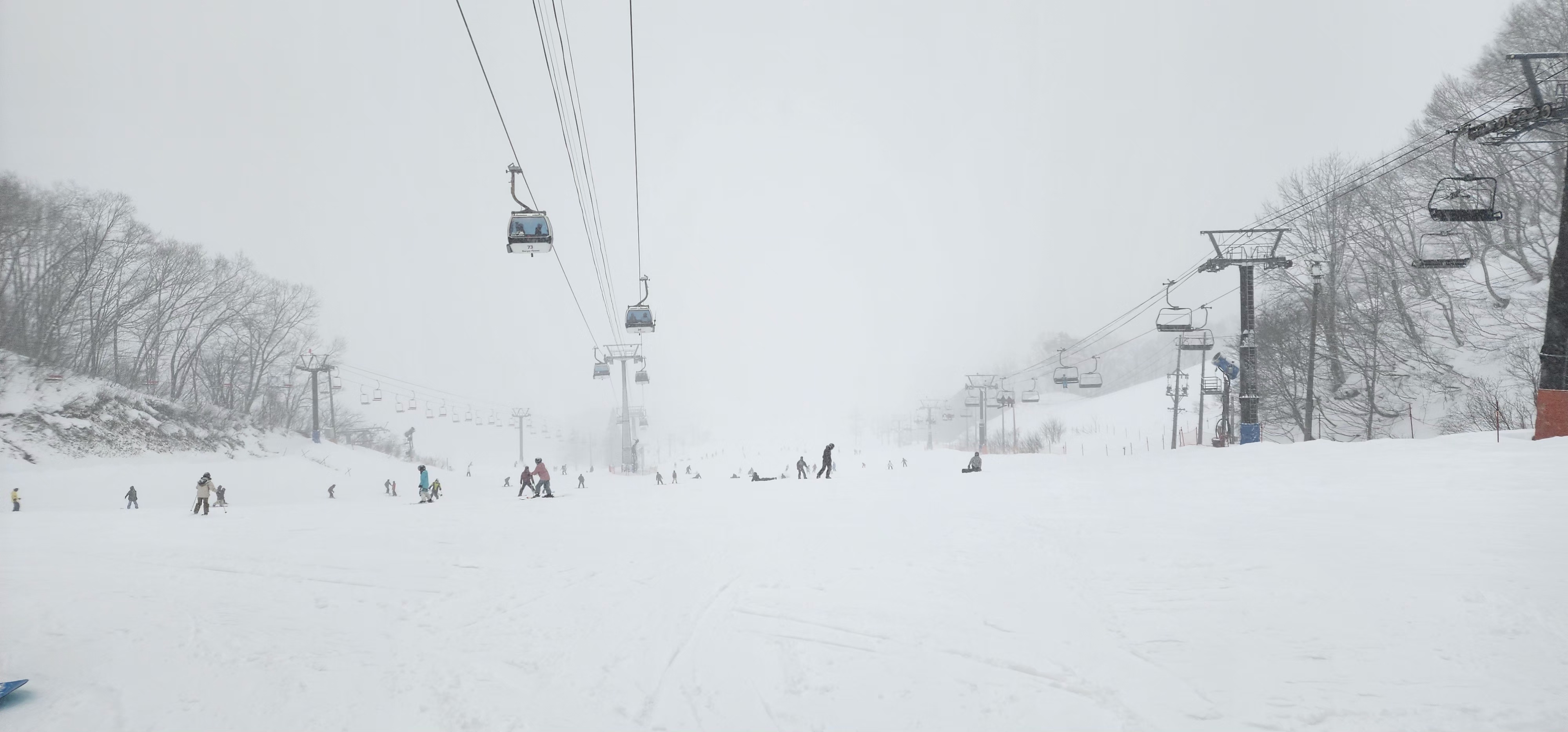 大粉雪！嘤嘤嘤 ​​​