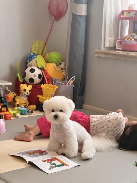 一动不动的湖南菜和不动不行的汤汤