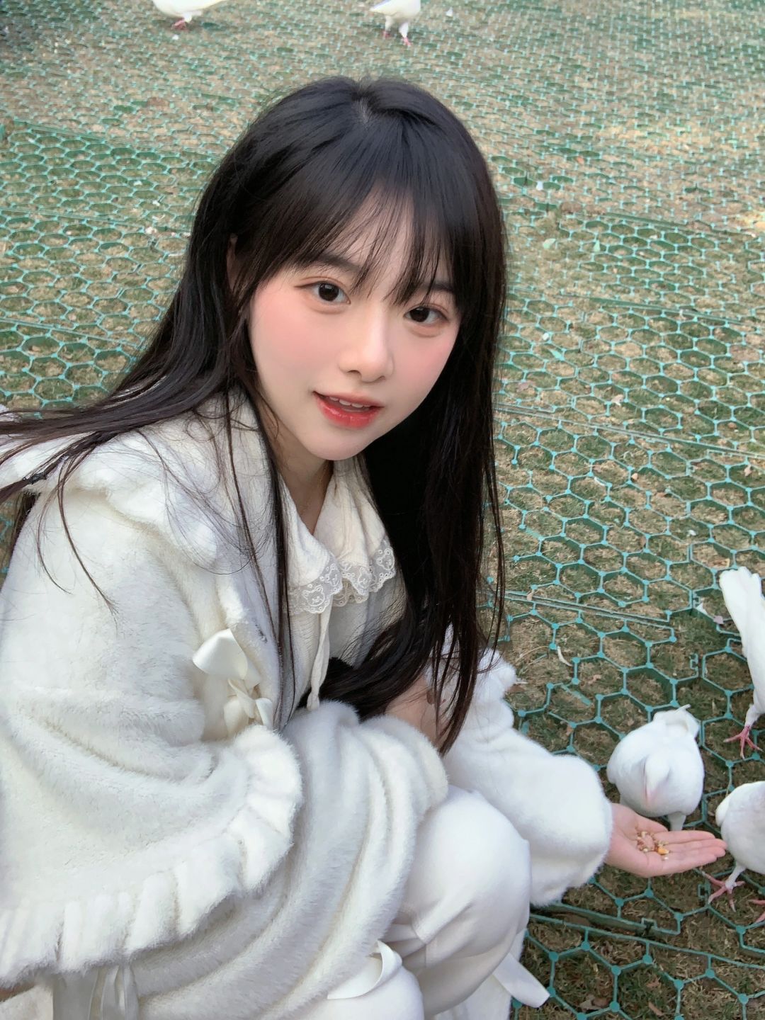 喂鸽子噜🕊️