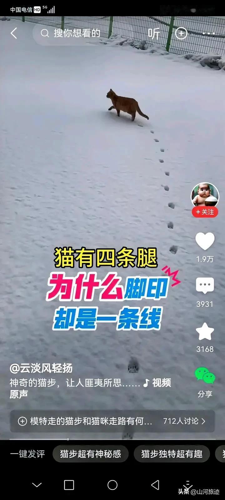 昨天晚上下了一场鹅毛大雪，今天早上推开窗户一看，大雪还在纷纷扬扬的飘落，我家的小