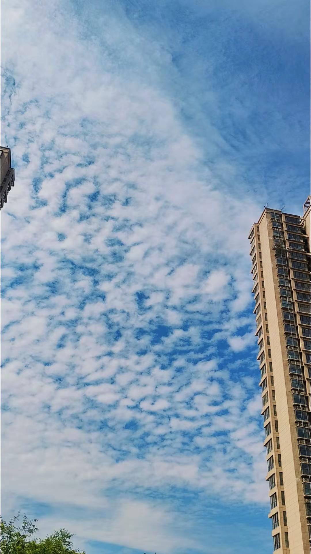 今天的天空特别美 随手拍天空