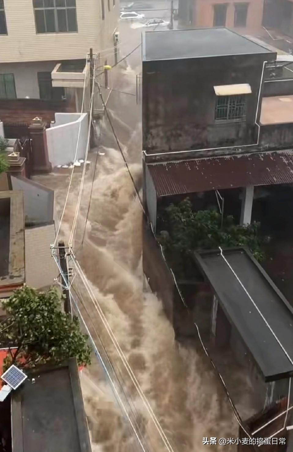 麦德姆血洗湛江！徐闻成泽国，狂风把雨砸成刀
 
麦德姆台风在湛江徐闻撕开一道口子