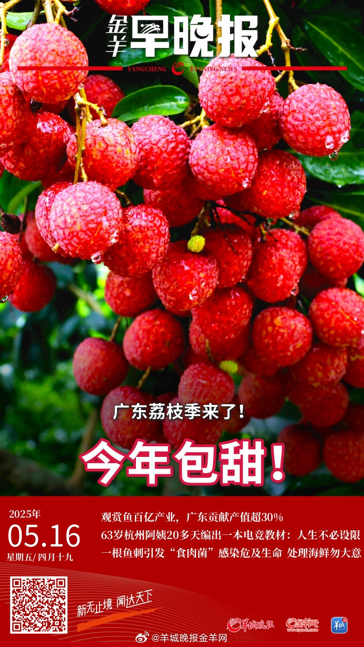 #金羊早晚报##欧阳娜娜或被罚10万到50万新台币##侯佩岑陈乔恩被台当局威胁查
