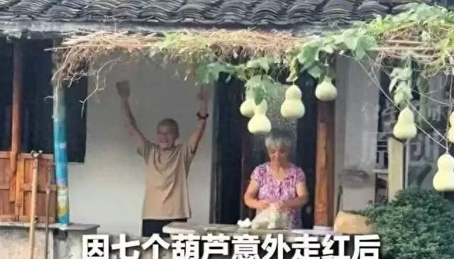 葫芦剪了爷爷凉，隔壁抢人真荒唐