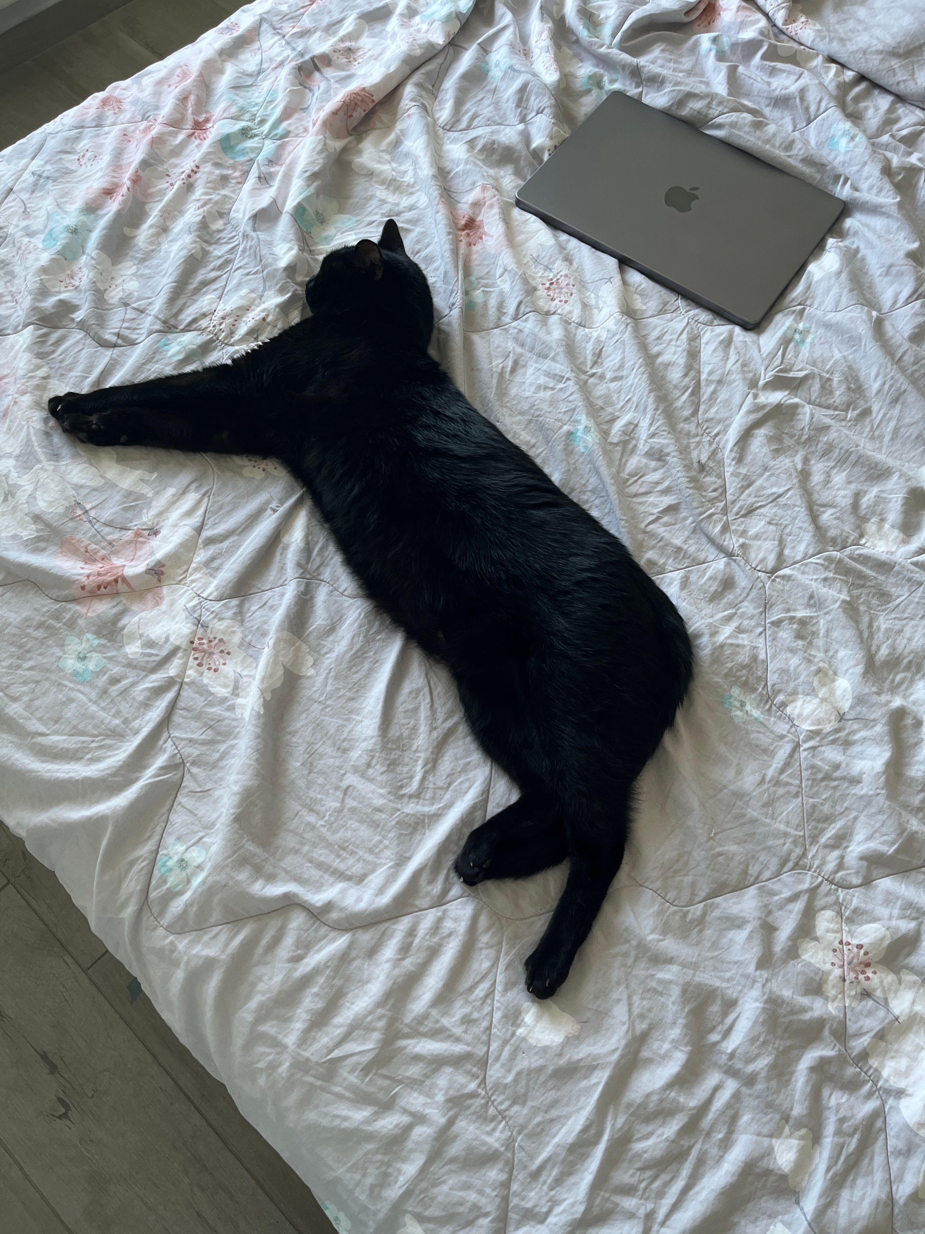 出去玩了一圈 回来立马上班开始抑郁 不想上班嘤嘤嘤 还想出去玩 下周还要出差 很